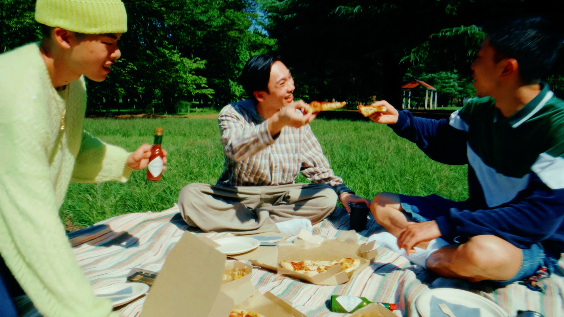PICNIC CINEMA 2026